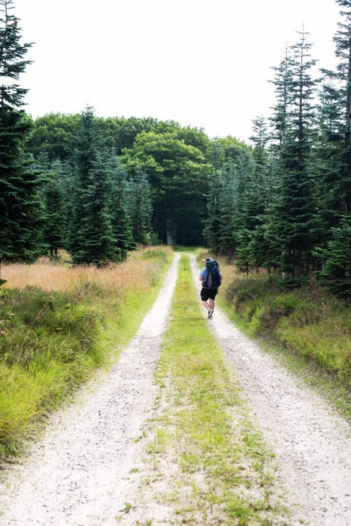Exploring one of Denmark's Largest Forests